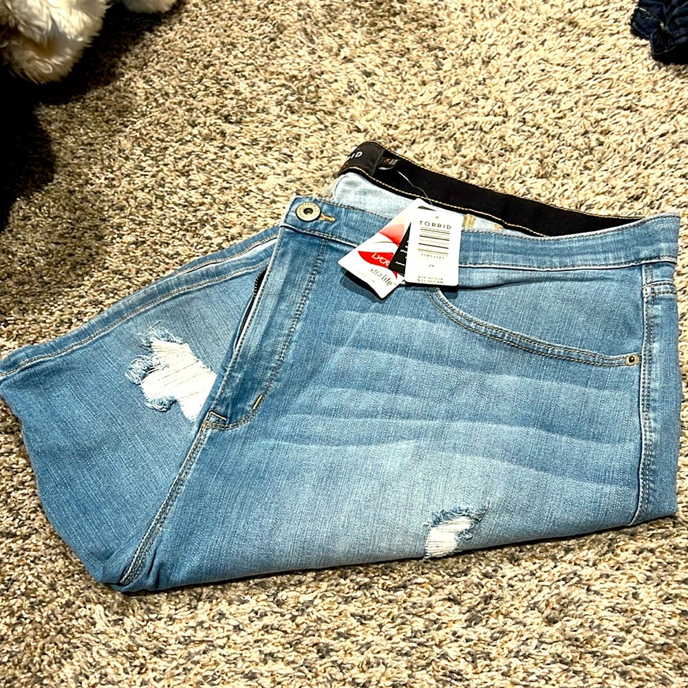 Torrid Shorts
